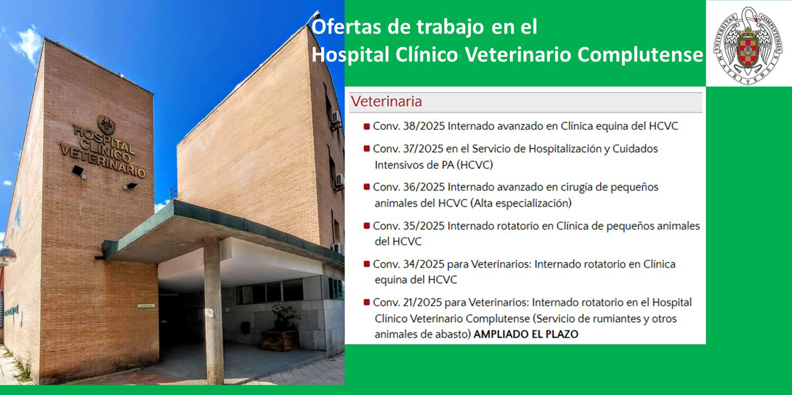 Ofertas de empleo en el Hospital Clínico Veterinario Complutense